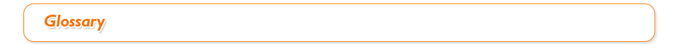 Glossary