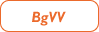 BgVV